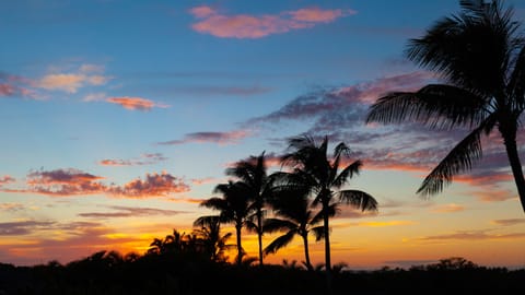 Hawaii has the best sunsets!