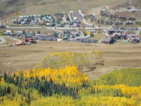 Walking above our house and u can see out green roof in the middle forefront