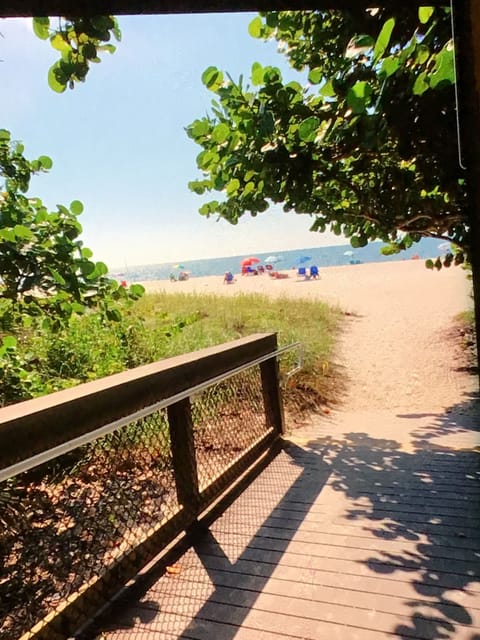 Beach nearby, sun loungers