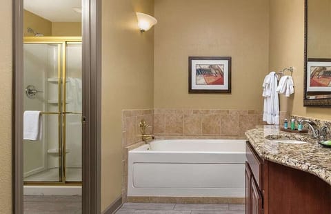 Combined shower/tub, hair dryer, towels