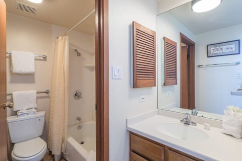 Combined shower/tub, hair dryer, towels