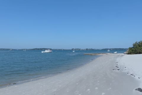 On the beach