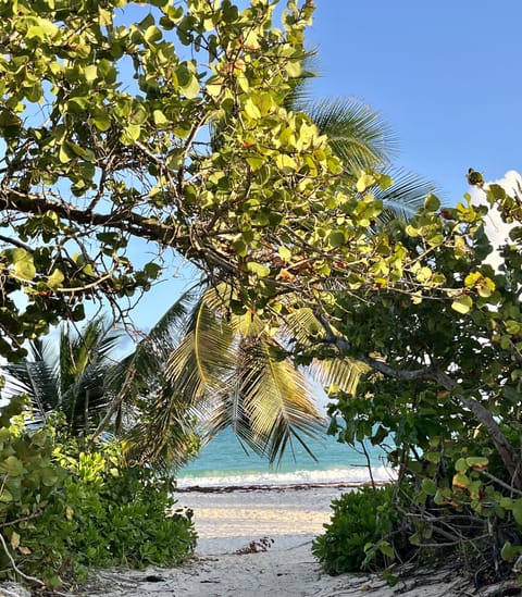 Beach nearby, sun loungers, beach towels