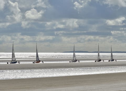 On the beach