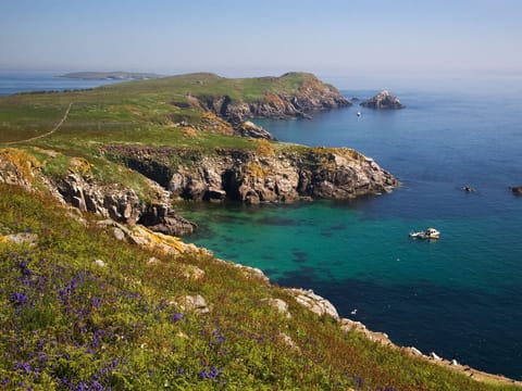 Saltees, County Wexford Failte Ireland and Tourism Ireland