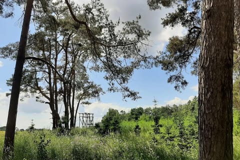 Surroundings [summer] (1-5 km)