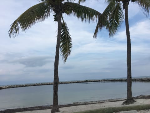 Beach nearby, sun loungers, beach towels