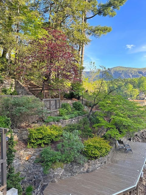 View from Deck - looking over the dock, and terraced gardens.