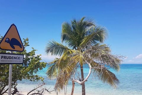 On the beach