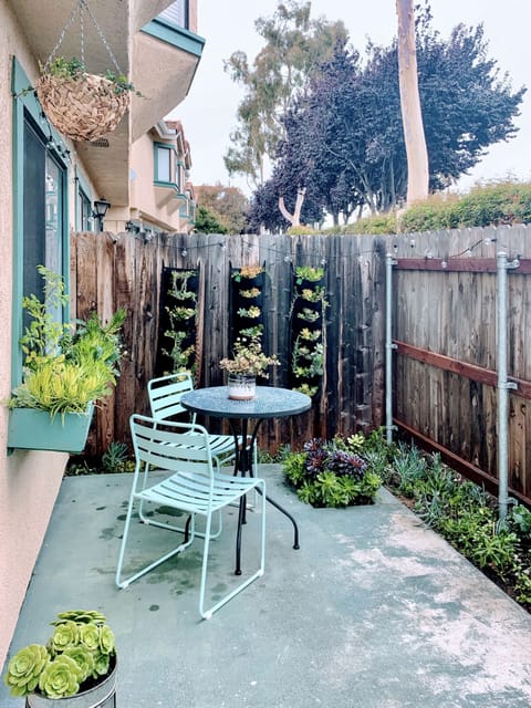 Side yard succulent garden with table and chairs