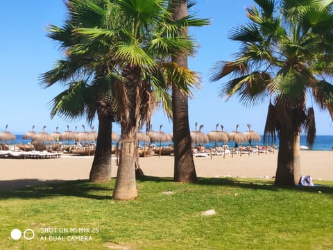 Beach nearby, sun loungers, beach towels