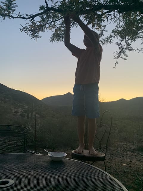 Sunset, West patio dining table. Elephant Butte and Spur Cross Conservation Area