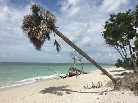 Beach nearby, sun loungers, beach towels