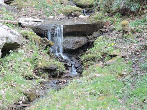 The waterfall next to the cabin. This photo is in the Fall (dry season).