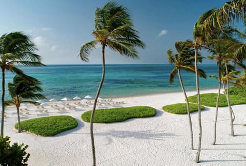 Beach nearby, sun loungers, beach towels