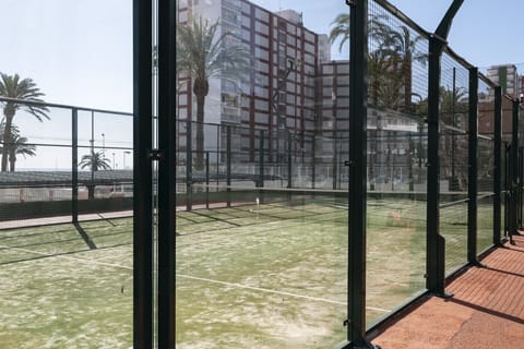 Sport court