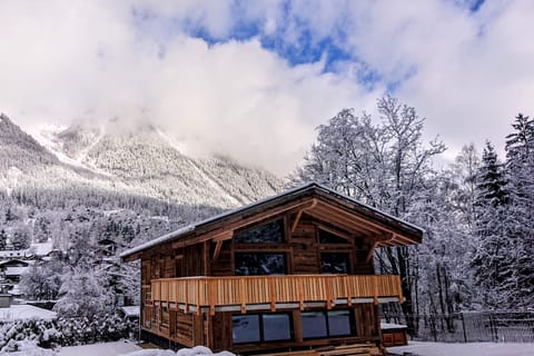 Chalet des Amis in the snow