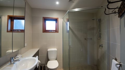 Combined shower/tub, hair dryer, towels