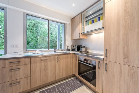 rental apartment lake annecy