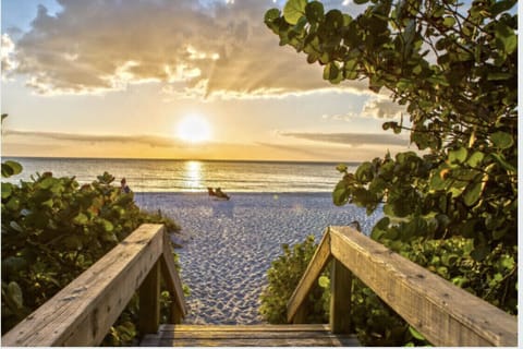 Beach nearby, sun loungers, beach towels