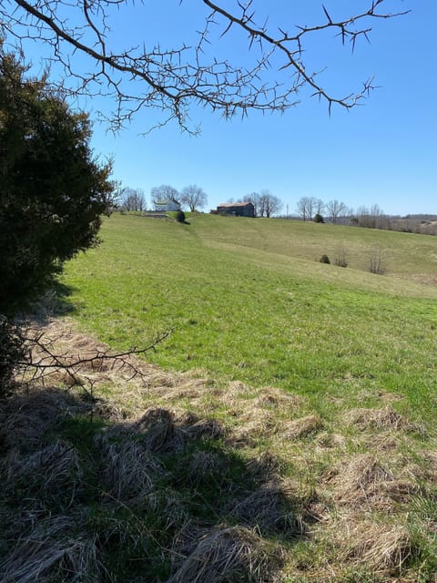 The house and barn view walking down the 2 mile dead-end road.