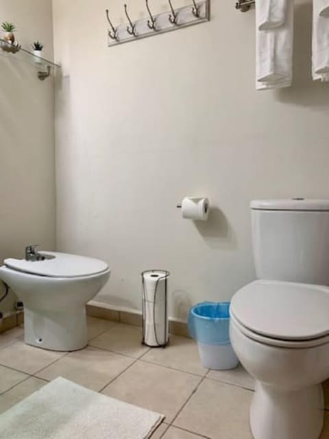 Combined shower/tub, hair dryer, bidet, towels