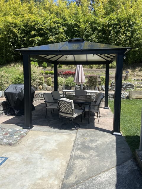 Patio and BBQ
