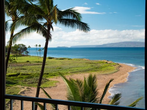 On the beach, sun loungers, beach towels