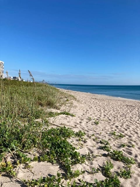 Beach nearby, sun loungers, beach towels