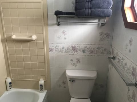 Combined shower/tub, hair dryer, towels, soap