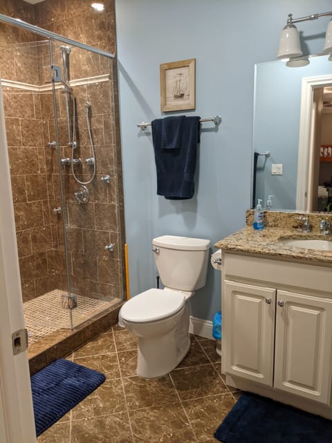 Rainfall showerhead, hair dryer, towels, toilet paper