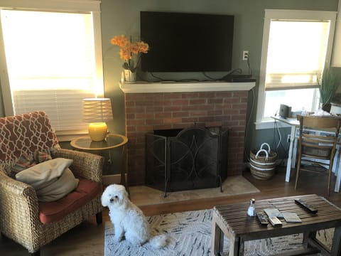 Our dog Barkley watching the tv....dog not included in rental. :)
