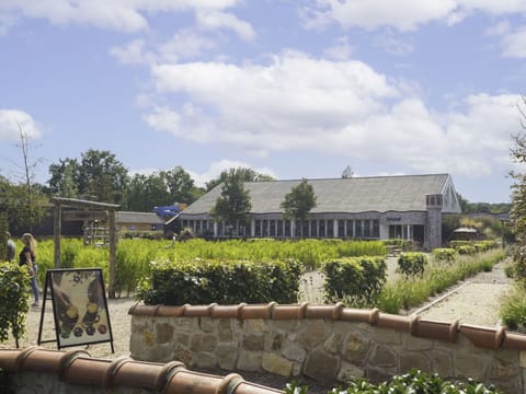 Plant, Cloud, Sky, Building, Window, Tree, House, Land Lot, Grass, Rural Area