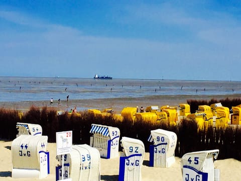 On the beach, sun loungers