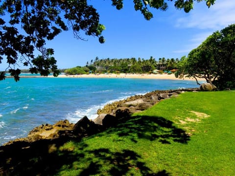 On the beach, sun loungers, beach towels