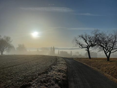 Views from an early morning walk close to the house (Feb 2022)