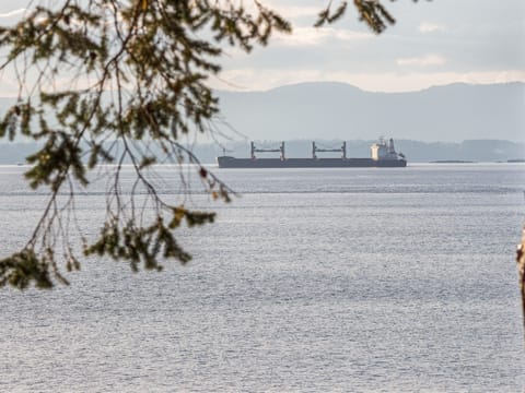 For the explorer at heart, look for life forms in the tide pools or learn about the international trade floating by.