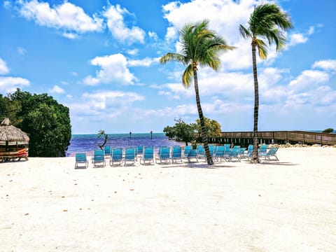 On the beach, sun loungers, beach towels