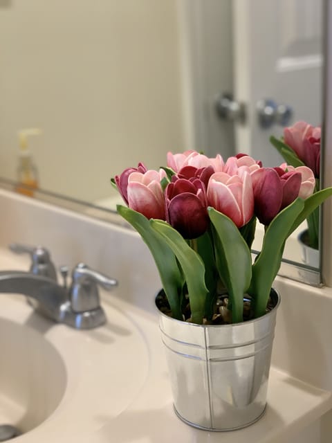 Bathtub, hair dryer, toilet paper