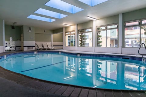 Indoor pool, sun loungers