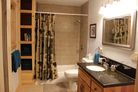 Combined shower/tub, hair dryer, towels, soap