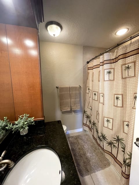 Combined shower/tub, hair dryer, towels