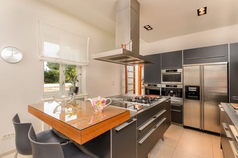 Modern fully equipped kitchen with fridge, ovens, stove and sink in the luxury family villa with private pool 