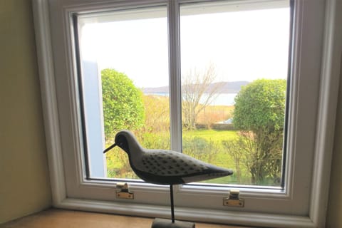 Northern Lights Window