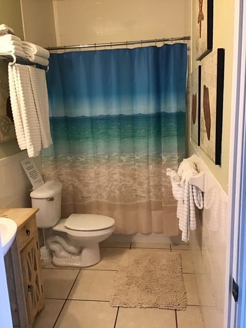 Combined shower/tub, hair dryer, towels, toilet paper