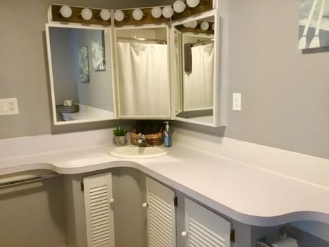 Combined shower/tub, jetted tub, hair dryer