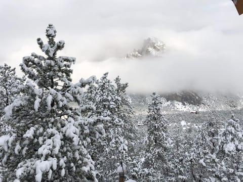 View from Deck on a snowy morning