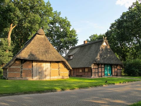 Thatching, House, Home, Property, Cottage, Roof, Building, Farmhouse, Rural Area, Grass