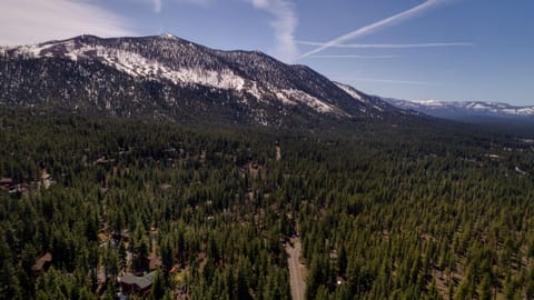 Breathtaking aerial view of the surrounding forest and majestic mountain peaks
