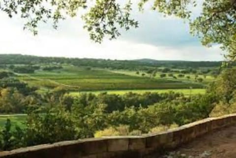 Driftwood Estate Winery nearby